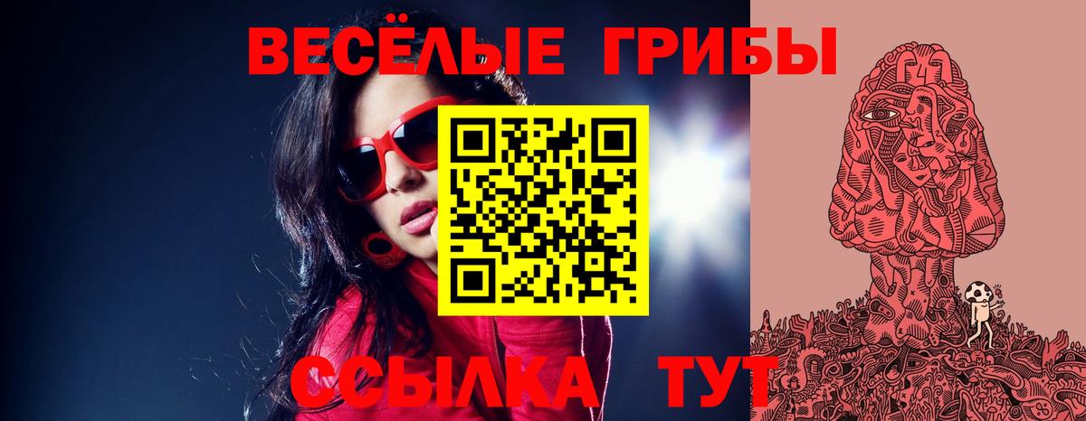 Галлюциногенные грибы Cubensis  Вход с VPN  Барабинск 